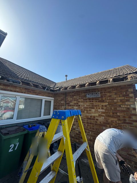 Storm Dry Roofing roofline job: old fascia stripped off along the eaves of a brick bungalow, with a stepladder up and a team member at work